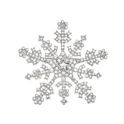 Napier Snowflake Pin
