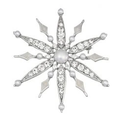 Napier Box Elevated Star Pin